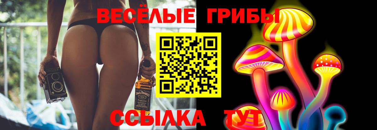 Псилоцибиновые грибы Psilocybine cubensis  Галлюциногенные грибы Cubensis  Маркс  как найти   Вход с VPN 